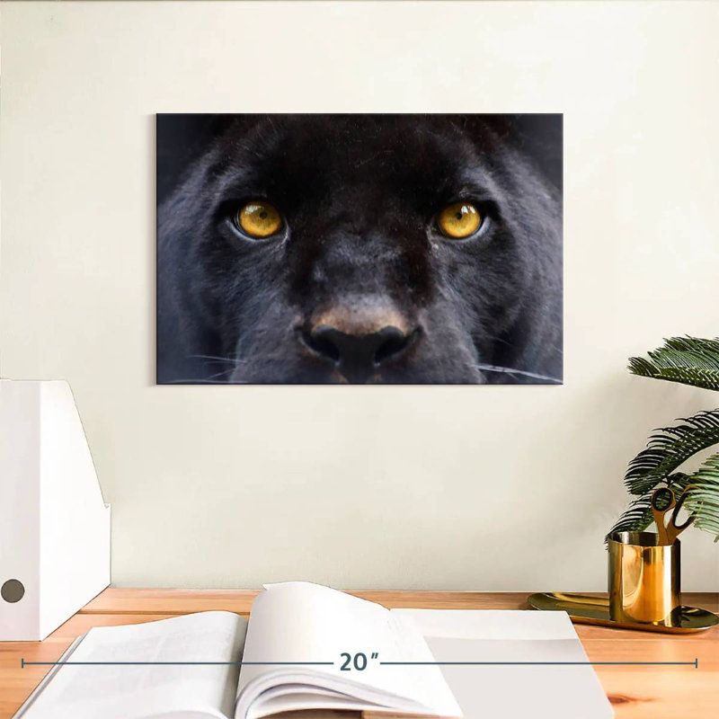 Brampt Panther Eyes, 8" H x 12" W