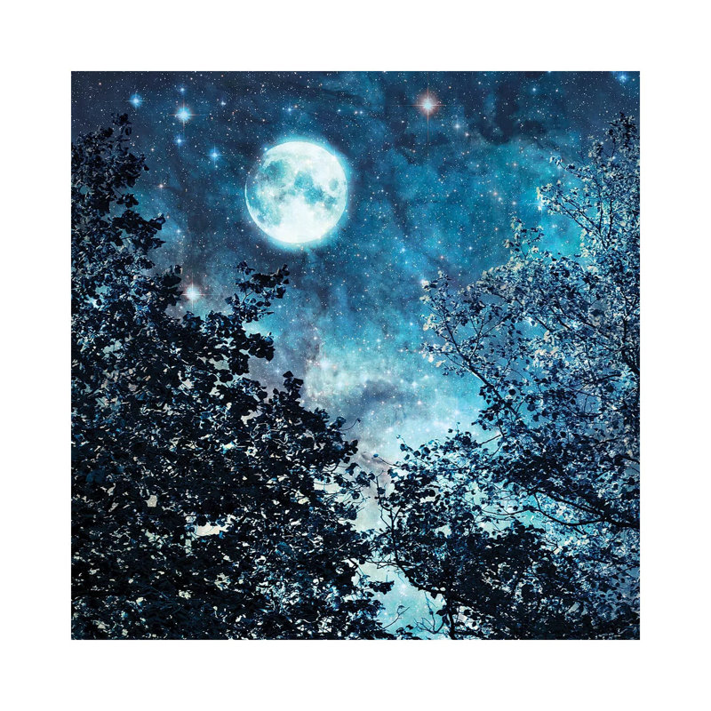 Blue Moon - Wrapped Canvas Print, 45.72 cm H x 45.72 cm W x 1.91 cm D