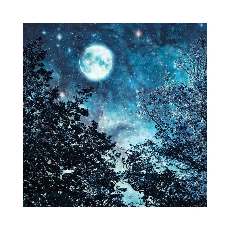Blue Moon 1 Piece Wrapped Canvas Wall Art, 45.72 cm H x 45.72 cm W x 1.91 cm D