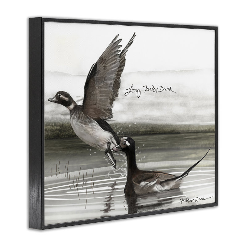 Giclée de canard à longue queue par Jadei, H 11 po x l 14 po, Giclée encadrée noir minuit