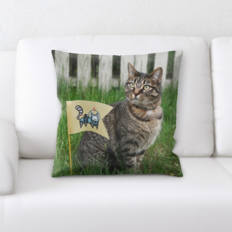 Coussin pour chat