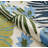 Stowthewold Floral Ivory Fern Green Handmade Indoor Outdoor Area Rug-511113213