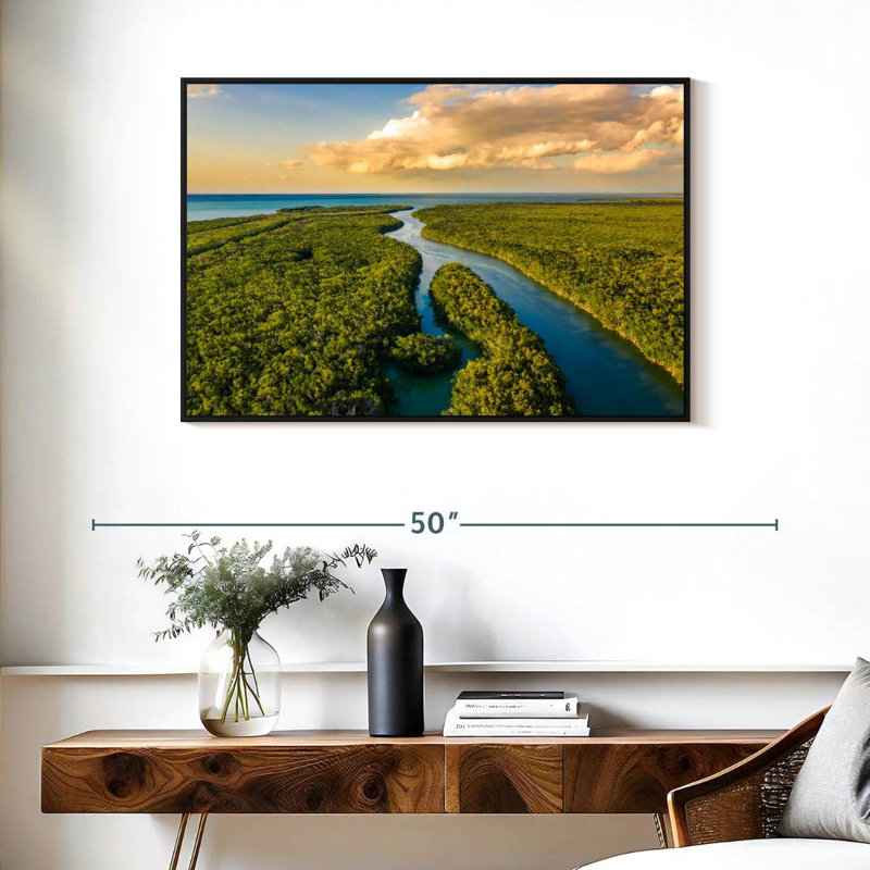 Parc national des Everglades, Cadre flottant noir, 37 po x 25 po