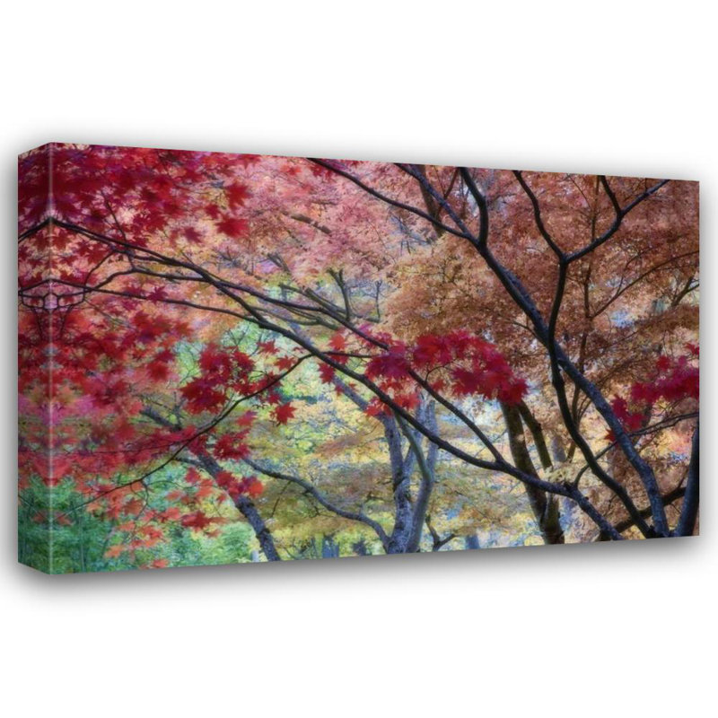 «Red Barrel Studio® Paulson», reproduction d'art sur toile tendue par Don Gallery: OR, érable Ashland Lithia Park en automne