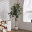 Faux Olive Tree Plant in Freestanding-584351314