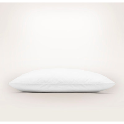Down Pillow Insert