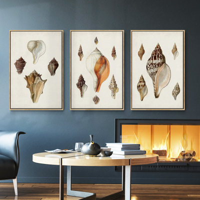 " Sowerby Shells IV " 3 Piece Art Oil Set