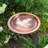 Hammered Copper Birdbath with Rail Mount Bracket