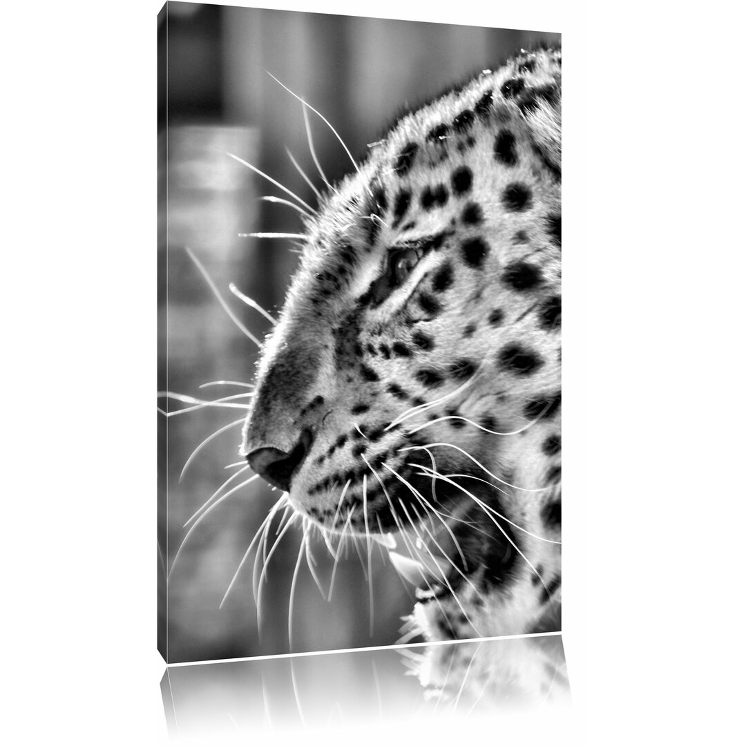 Leinwandbild Brüllender Leopard in Monochrom