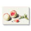 Peaches & Plum by E.G. Van De Kasteele - Wrapped Canvas Print-55340575