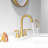 2-handle Bathroom Faucet with Drain Assembly-75202223