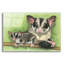 «Sugar Glider» par Barbara Keith - impression non encadrée-251488472