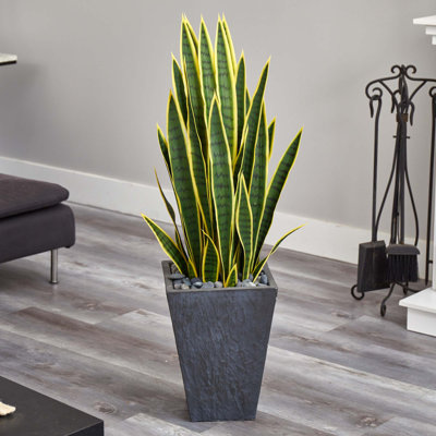 42 " H Faux Snake Plant in Earthenware Planter