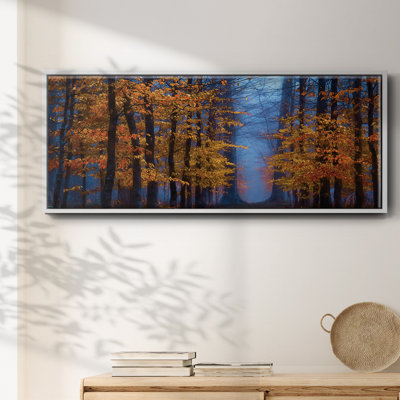 The Path of- Framed Canvas