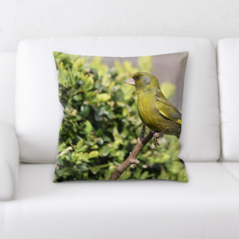 Coussin oiseau