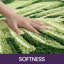 Tapis de salle de bain Tapis de douche Tapis de sol antidérapant lavable Monstera Deliciosa