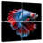 Brampt Blue And Red Betta Fish-109038679