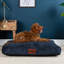 Slumberdown Paws for Slumber Raised Padded Dog Bed – Comfortable, Supportive & Durable Pet Bed for All Breeds-1864648489-1859443628