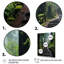 «USA Muir Woods National Monument I», reproduction d'art sur toile-1261424158-1261424161