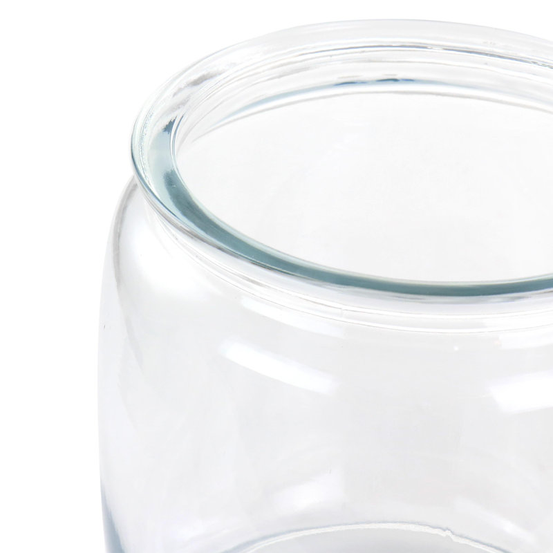 Clear Glass 4-Piece Airtight Canister Set with Twist Top Lids