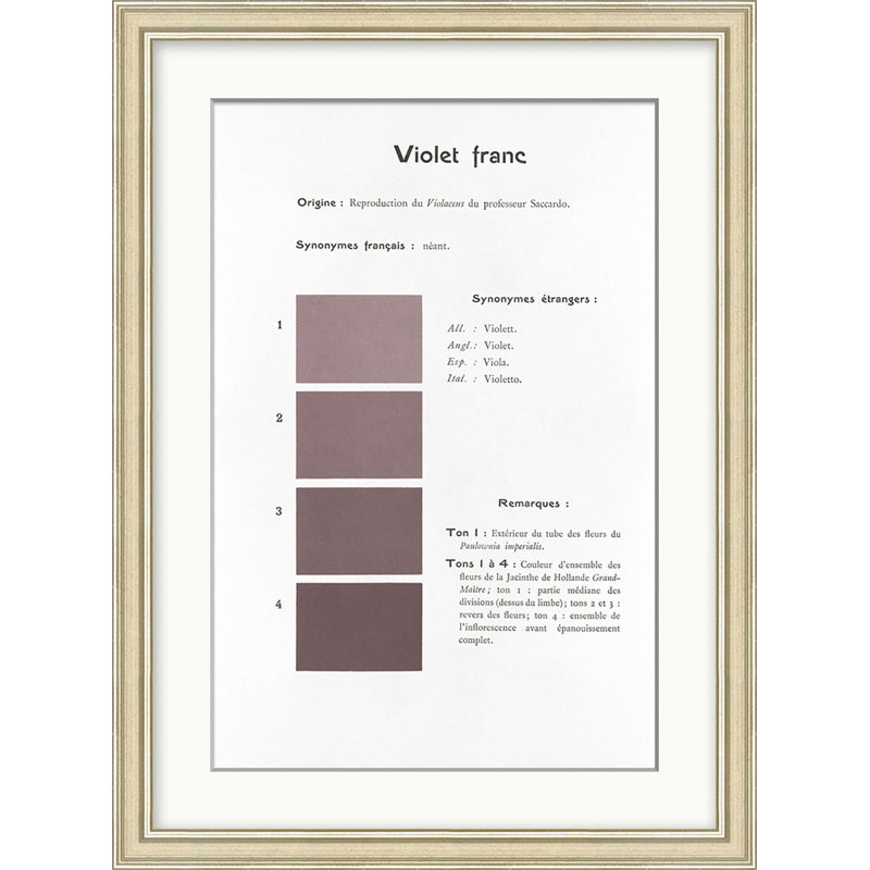 Violet 1 Print by Danielle Rollins