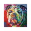 Bulldog 1 Piece Wrapped Canvas Painting-38754202