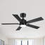 Ventilateur de plafond standard à DEL à 5 pales de 42 po avec télécommande et ensemble d'éclairage inclus Jeason-201321446-201321447