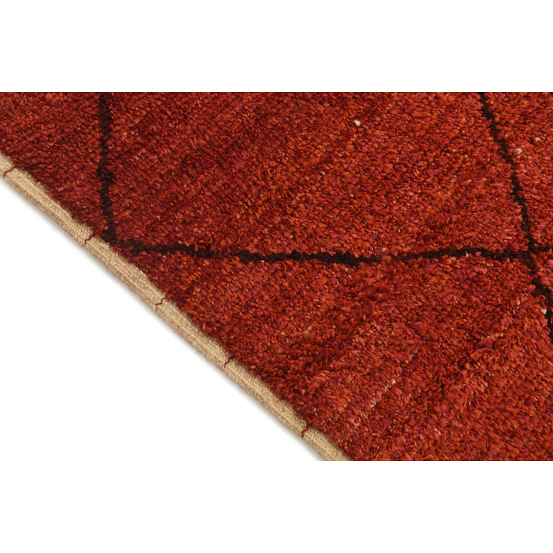 Aabha Red Rug