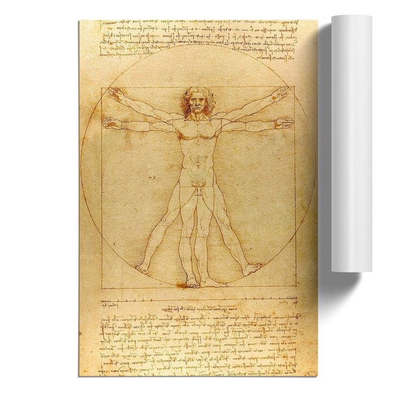 Vitruvian Man by Leonardo da Vinci - Frameless Print, 30cm H x 21cm W x 0.1cm D