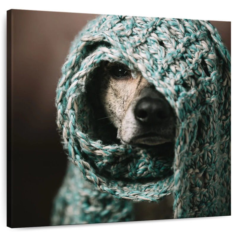 Brampt Shrouded Dog, 16" H x 16" W