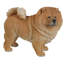 Statue debout de chow-chow debout