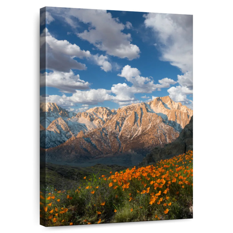 Alvord Mount Whitney Alpenglow, H 24 po x l 16 po