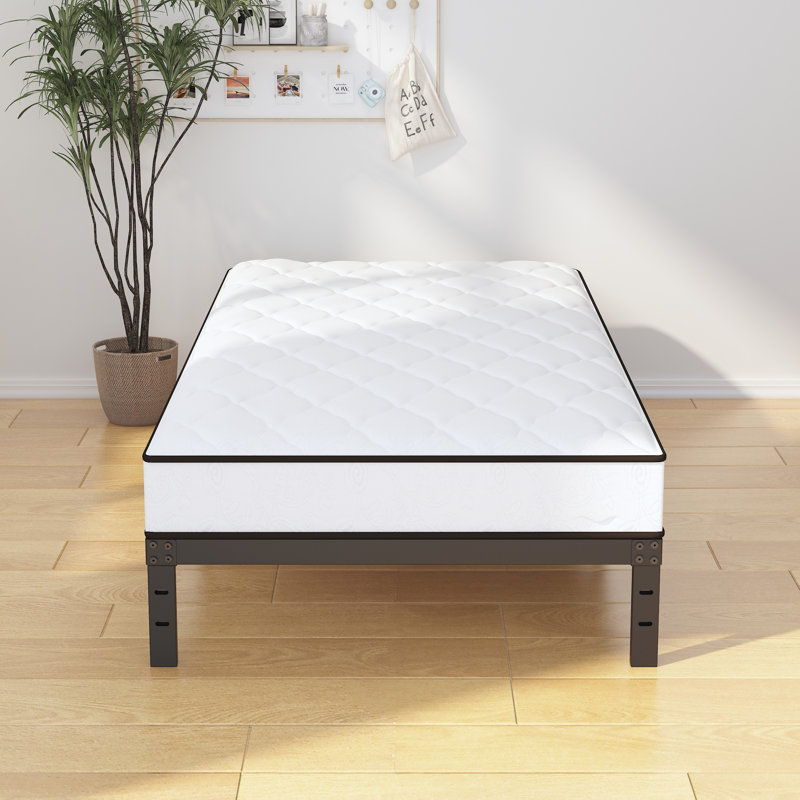 Kremmling 10" Platform Bed, Twin XL