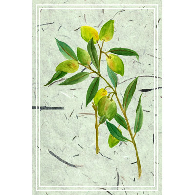 Olives On Textured Paper I - Wrapped Canvas Print