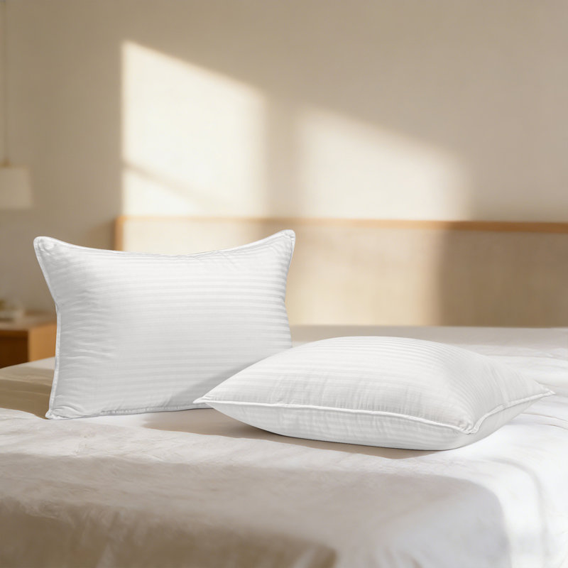 Oreiller Sleep by Wayfair™ en duvet, Grand lit, Luxueux