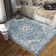Shiann Washable Oriental Indoor Rug