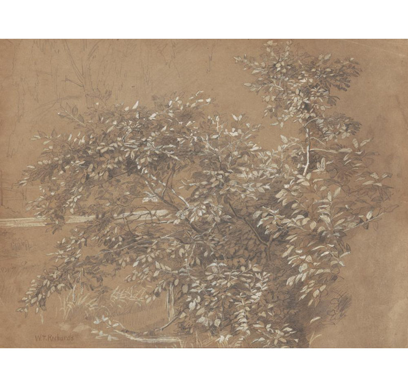 «Foliage» par William Trost Richards - Art mural sur toile tendue avec châssis, H 24 po x l 17 po
