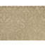 Damask Area Rug in Sand Dollar/Beige-1535843174