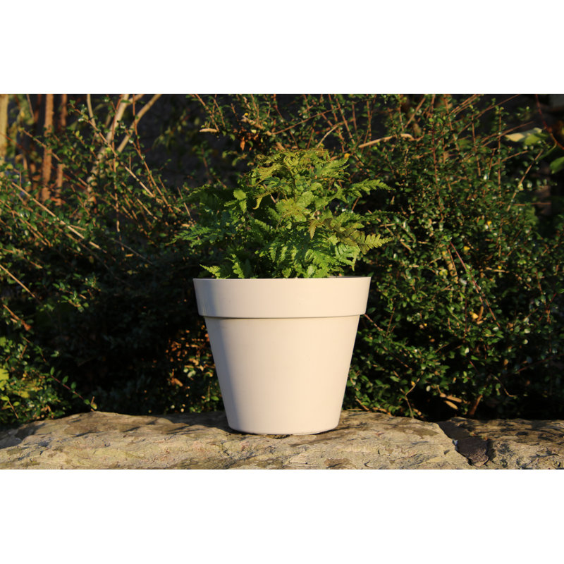 Bojorquez Pot Planter, 28cm H x 29cm W x 29cm D, Stone