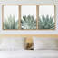 «Desert Cactus Succulent Variety Nature Wilderness», ensemble de 3 impressions sur toile flottante-85484380-119018368