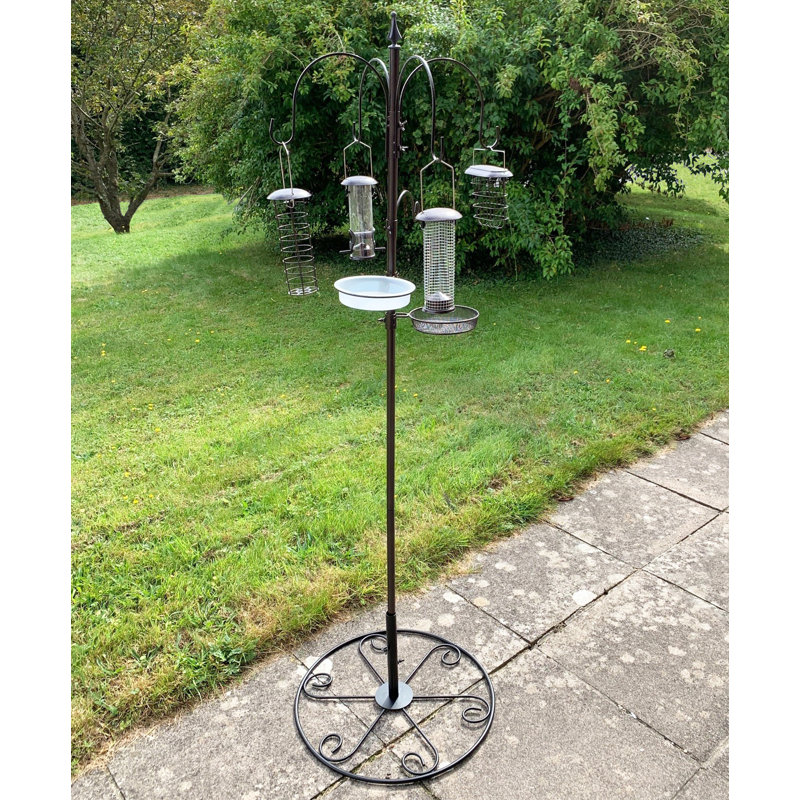Pinard Steel Accent