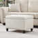 Dhiren 23.6' W Rectangle Upholstered Storage Ottoman