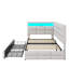 Twin Daybed Upholstered With Two Storage Compartments, Built-In Electrical Outlet, LED Lighting, And A Storage-Equipped Headboard-1341776446
