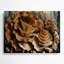 Art mural en métal légumes champignon brun Maitake-645590396