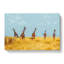 Giraffes - Wrapped Canvas-55366011
