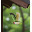 Mobile oiseau en vol - Colibri