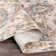 Oriental Indoor Rug