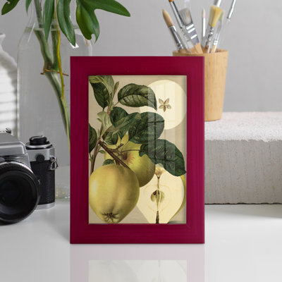 Apple Harvest I " Apple Harvest I "