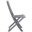 Ensemble de 2 chaises d'extérieur vidaXL