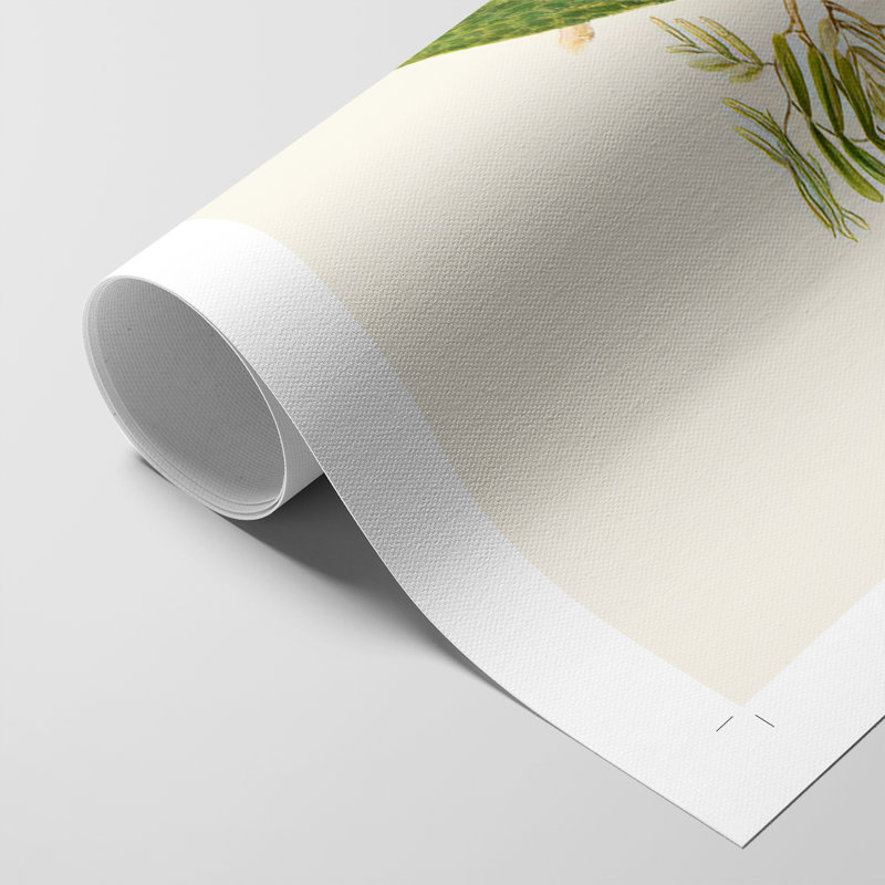 Lime et ceruleanI - Impression sur toile - non encadrée, H 27 po x l 18 po